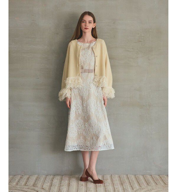 Grace Class「レースボーダードレス」|ドレス|