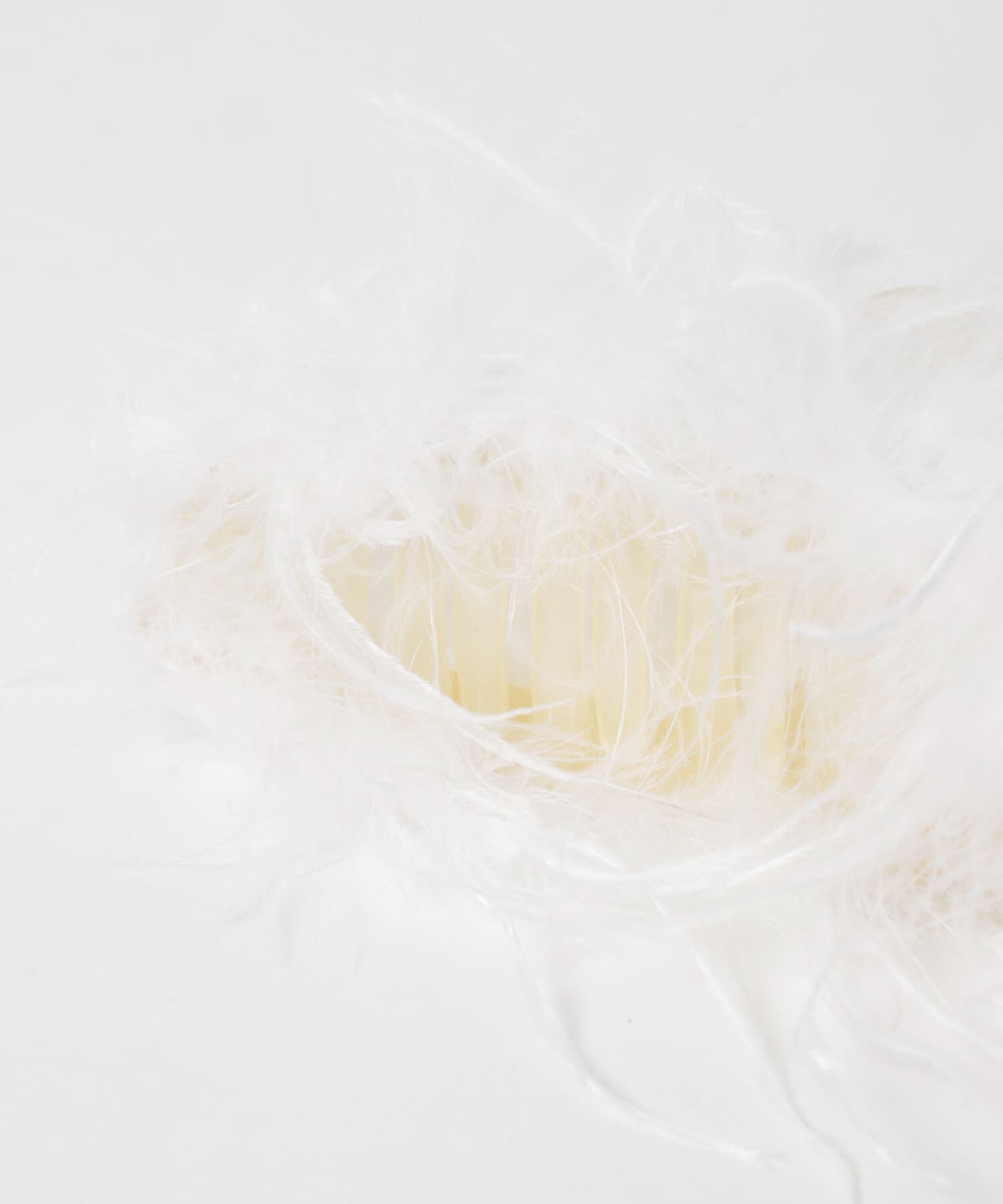 SMELLY「フェザービッグバンス」|その他|