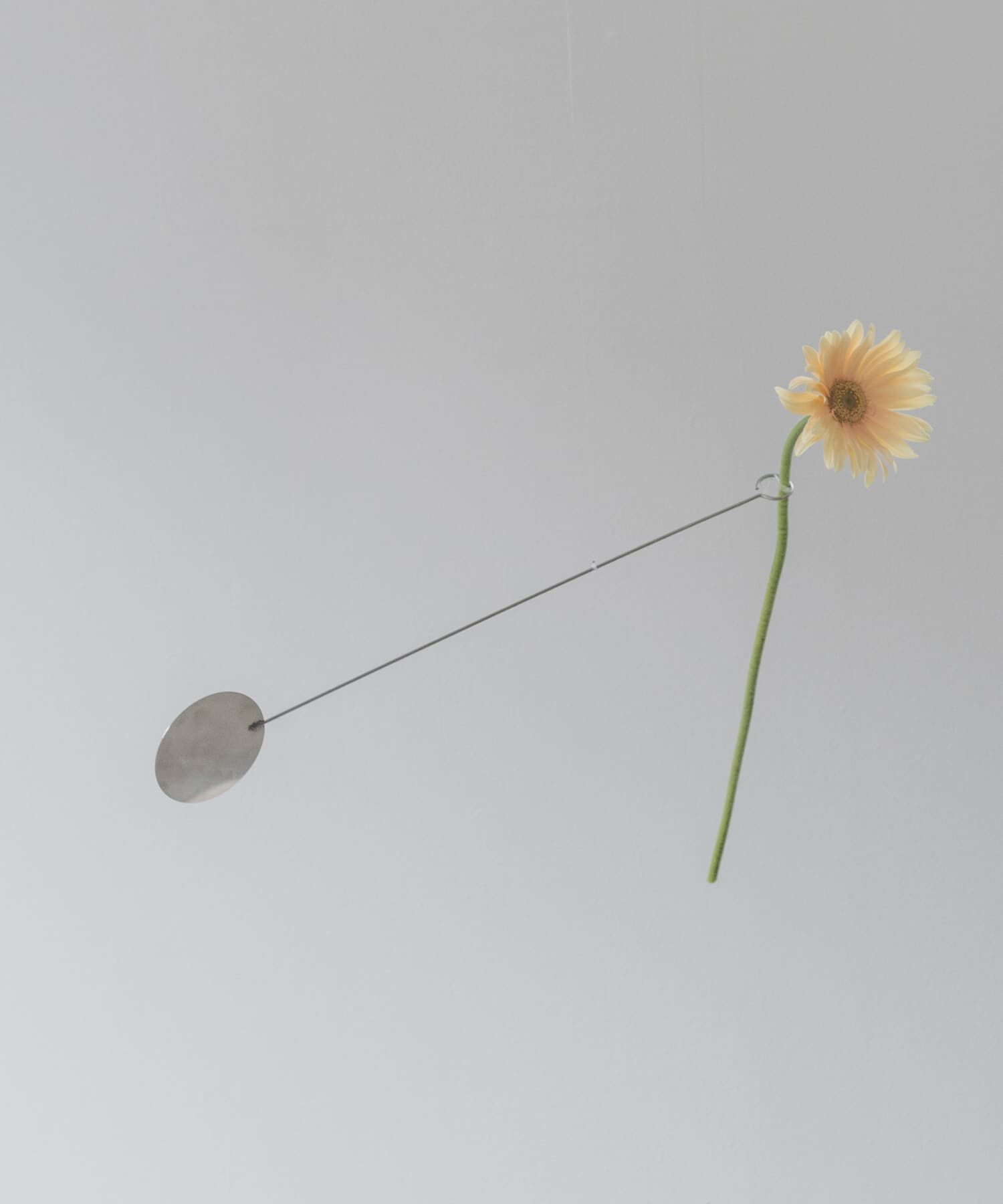 URBAN RESEARCH DOORS「『WEB限定』graf　vase mobile disk」|その他|