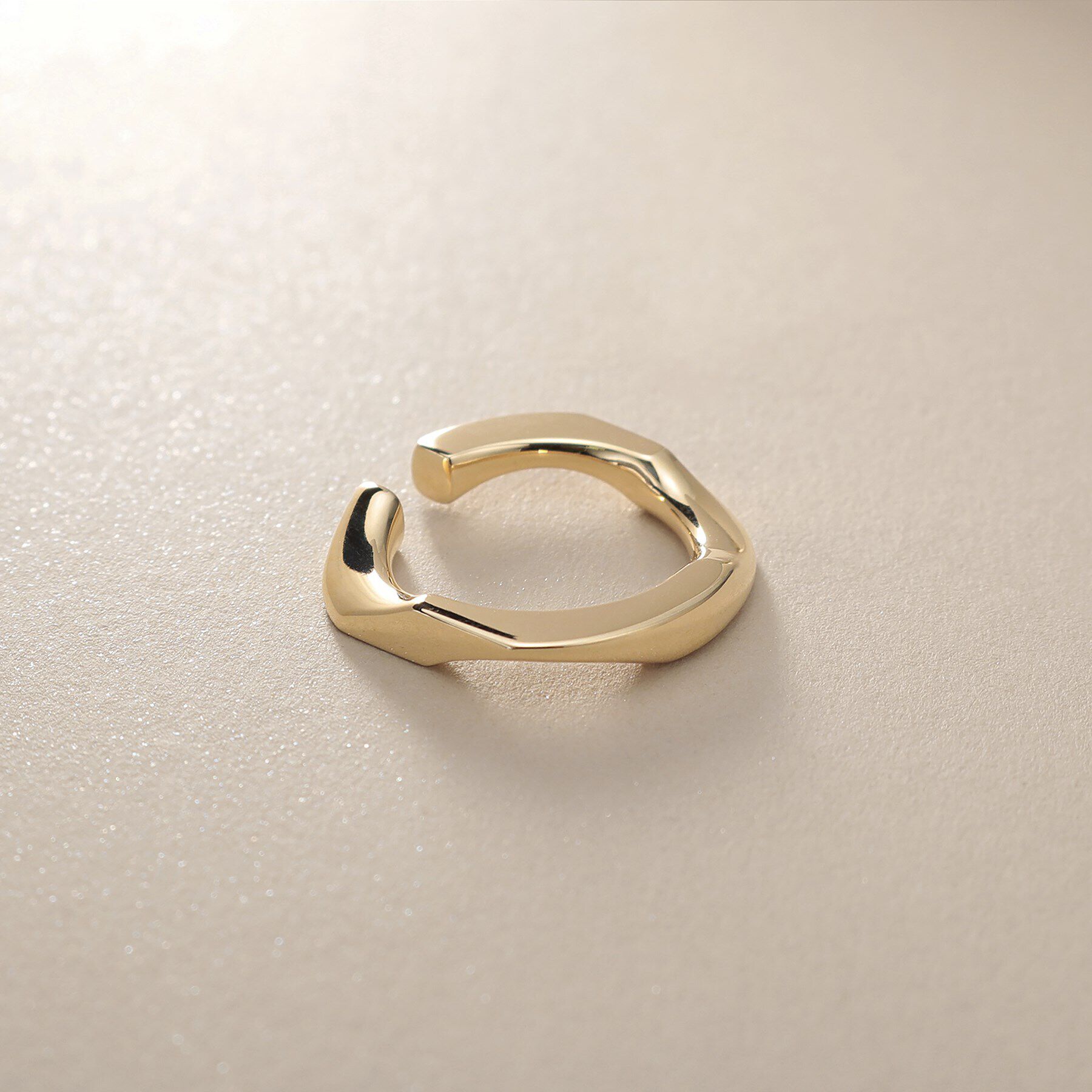 COCOSHNIK「K10キヘイモチーフ イヤーカフ」|イヤリング|