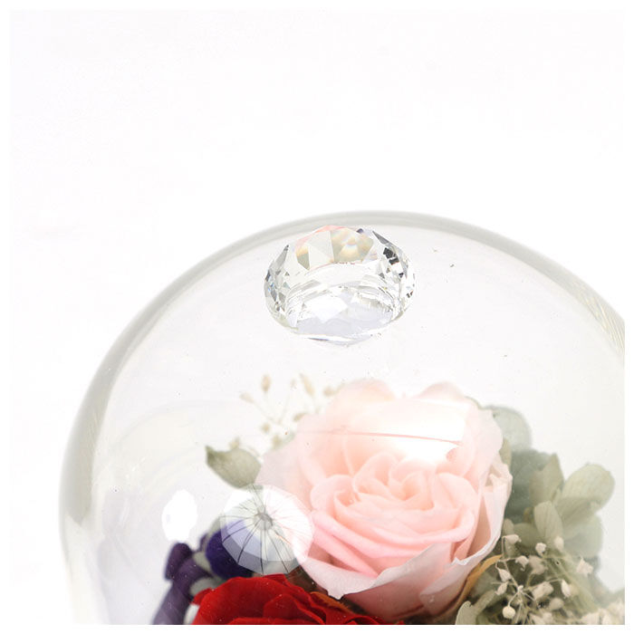 BACKYARD FAMILY「プリザーブドフラワー ガラスドーム 通販 モチーフドームアレンジメント アレンジメントフラワー」|その他|