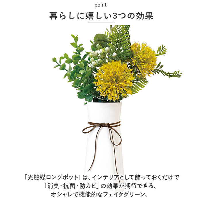 BACKYARD FAMILY「光触媒 造花 通販 フェイクグリーン イミテーショングリーン 人工観葉植物 消臭 抗菌 花」|その他|