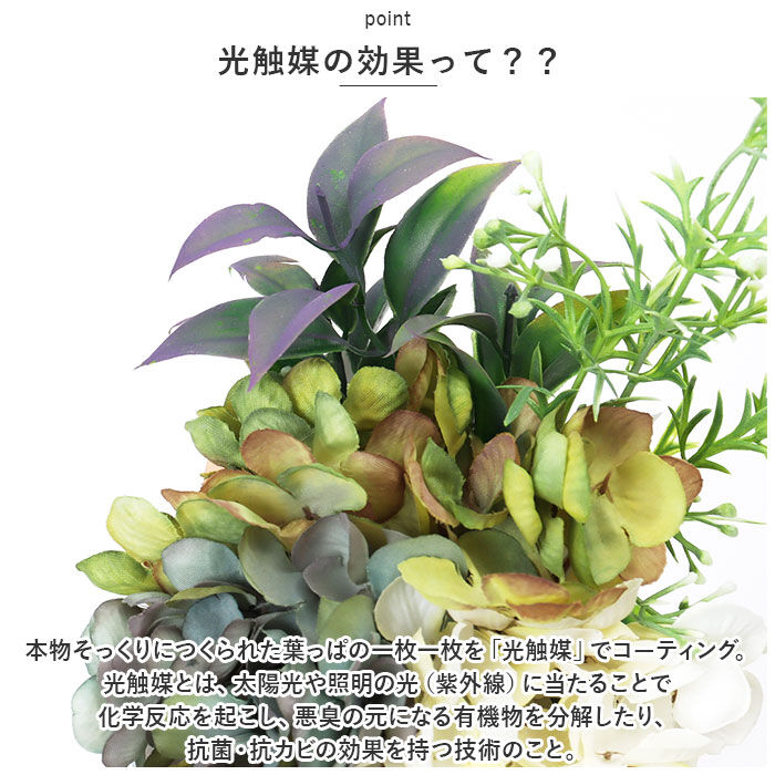BACKYARD FAMILY「光触媒 造花 通販 フェイクグリーン イミテーショングリーン 人工観葉植物 消臭 抗菌 花」|その他|