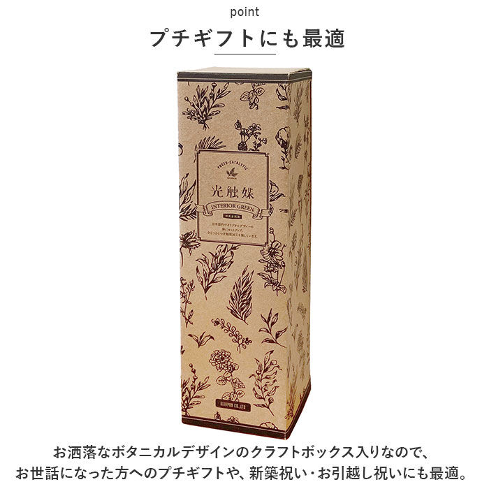 BACKYARD FAMILY「光触媒 造花 通販 フェイクグリーン イミテーショングリーン 人工観葉植物 消臭 抗菌 花」|その他|