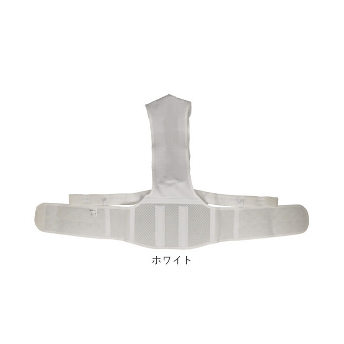 BACKYARD FAMILY「骨盤固定 背筋矯正 Ｓラインベルト 通販 背筋 矯正 ベルト 背骨 猫背 サポーター 姿勢 猫背」|その他|