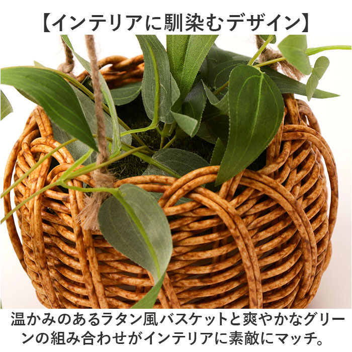 BACKYARD FAMILY「光触媒 フェイクグリーン 通販 観葉植物 人工観葉植物 ハンギング 吊り下げ ハンギングバスケット」|その他|