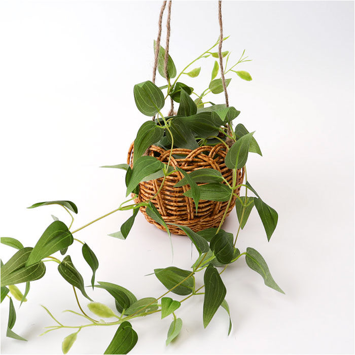 BACKYARD FAMILY「光触媒 フェイクグリーン 通販 観葉植物 人工観葉植物 ハンギング 吊り下げ ハンギングバスケット」|その他|