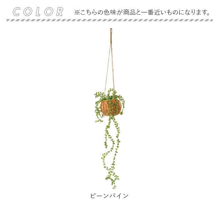 BACKYARD FAMILY「光触媒 フェイクグリーン 通販 観葉植物 人工観葉植物 ハンギング 吊り下げ ハンギングバスケット」|その他|