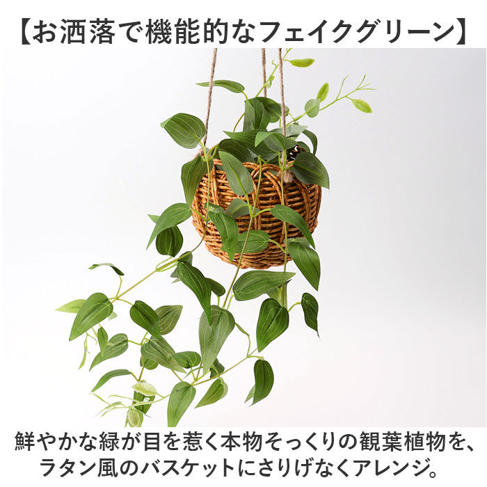 BACKYARD FAMILY「光触媒 フェイクグリーン 通販 観葉植物 人工観葉植物 ハンギング 吊り下げ ハンギングバスケット」|その他|