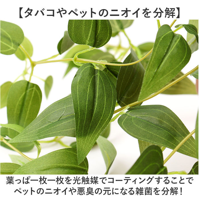 BACKYARD FAMILY「光触媒 フェイクグリーン 通販 観葉植物 人工観葉植物 ハンギング 吊り下げ ハンギングバスケット」|その他|