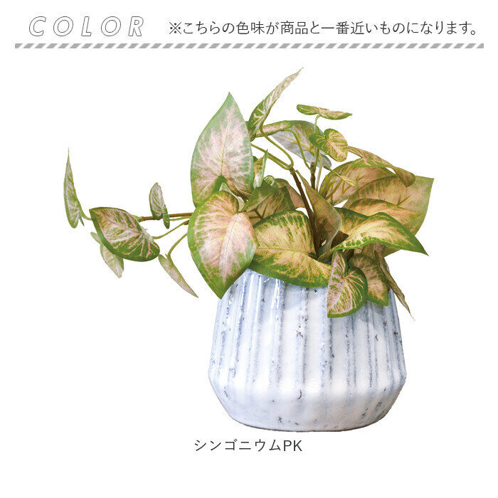 BACKYARD FAMILY「光触媒 フェイクグリーン 通販 人工観葉植物 イミテーショングリーン インテリアグリーン 消臭」|その他|