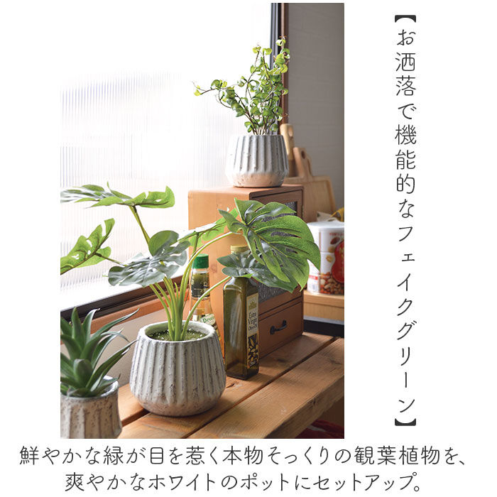 BACKYARD FAMILY「光触媒 フェイクグリーン 通販 人工観葉植物 イミテーショングリーン インテリアグリーン 消臭」|その他|