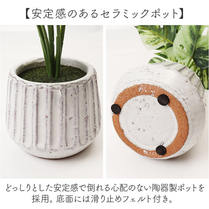 BACKYARD FAMILY「光触媒 フェイクグリーン 通販 人工観葉植物 イミテーショングリーン インテリアグリーン 消臭」|その他|