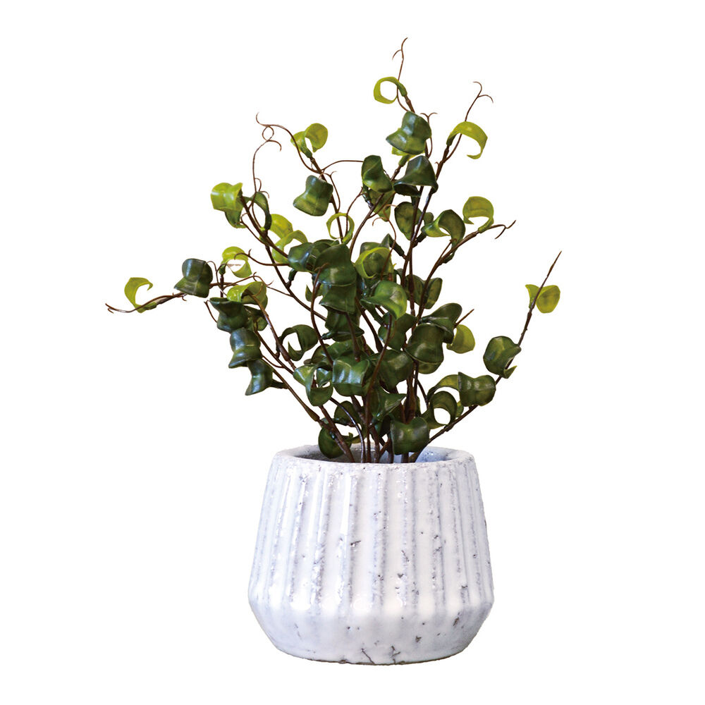 BACKYARD FAMILY「光触媒 フェイクグリーン 通販 人工観葉植物 イミテーショングリーン インテリアグリーン 消臭」|その他|グリーン2