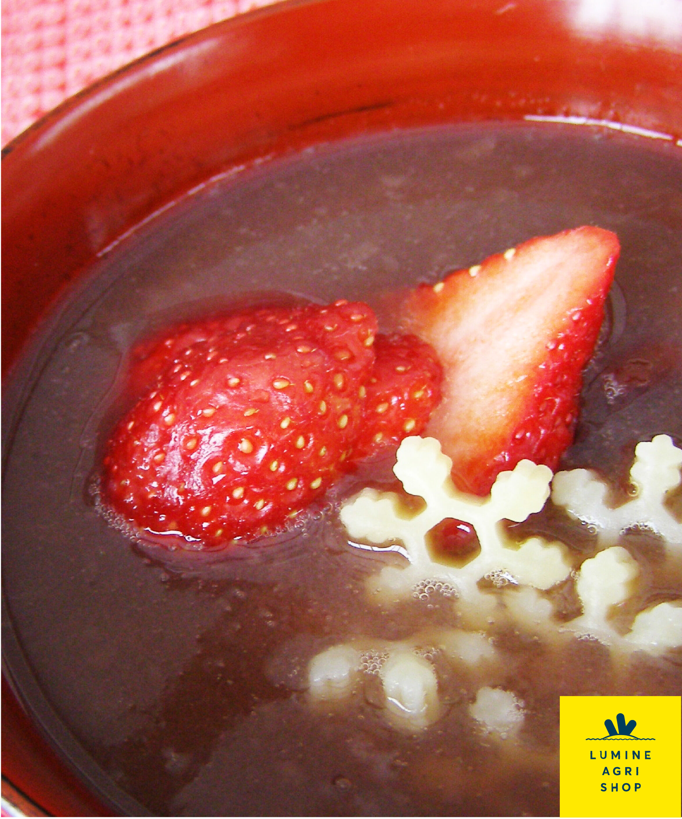 LUMINE AGRI SHOP「月山そば・うどん・パスタセット」|麺類|