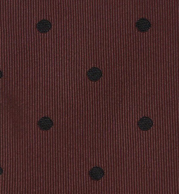 UNITED ARROWS「カラー ドット ネクタイ」|ネクタイ・蝶ネクタイ|