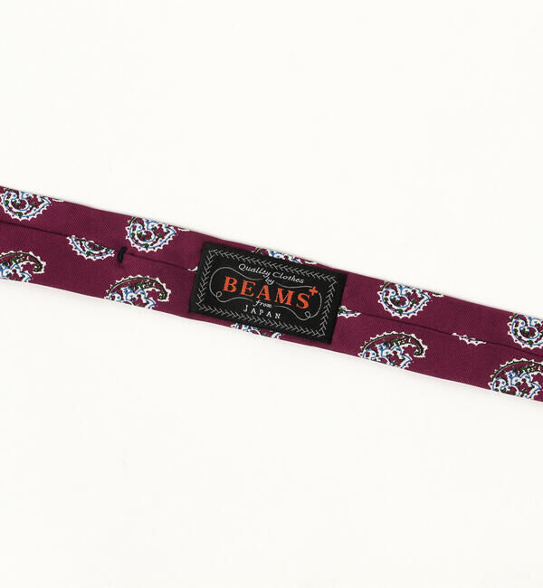 BEAMS PLUS「BEAMS PLUS / シルク ペイズリー プリント タイ」|ネクタイ・蝶ネクタイ|