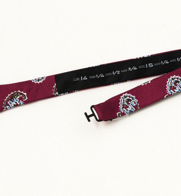BEAMS PLUS「BEAMS PLUS / Silk Bow Tie Big Paisley Print」|ネクタイ・蝶ネクタイ|