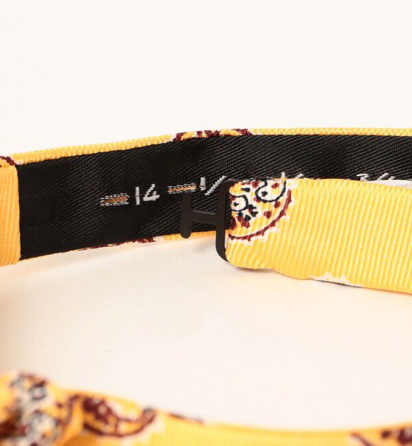 BEAMS PLUS「BEAMS PLUS / Silk Bow Tie Big Paisley Print」|ネクタイ・蝶ネクタイ|