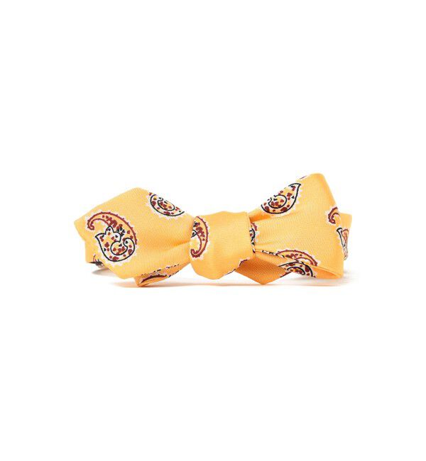 BEAMS PLUS「BEAMS PLUS / Silk Bow Tie Big Paisley Print」|ネクタイ・蝶ネクタイ|