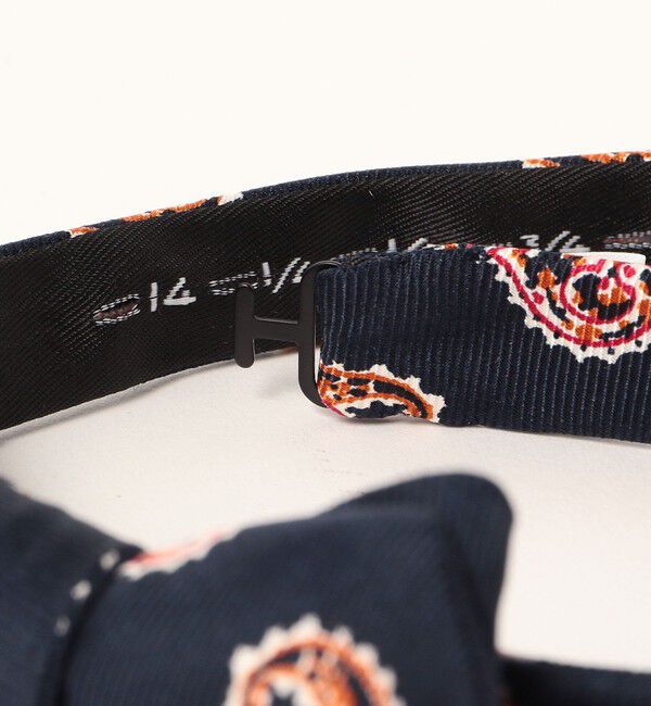 BEAMS PLUS「BEAMS PLUS / Silk Bow Tie Big Paisley Print」|ネクタイ・蝶ネクタイ|