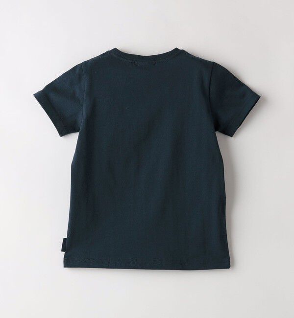 SHIPS Colors 「SHIPS Colors:TeddyBear(R) プリント&ステッチ TEE(80~150cm)◇」|Tシャツ・カットソー|