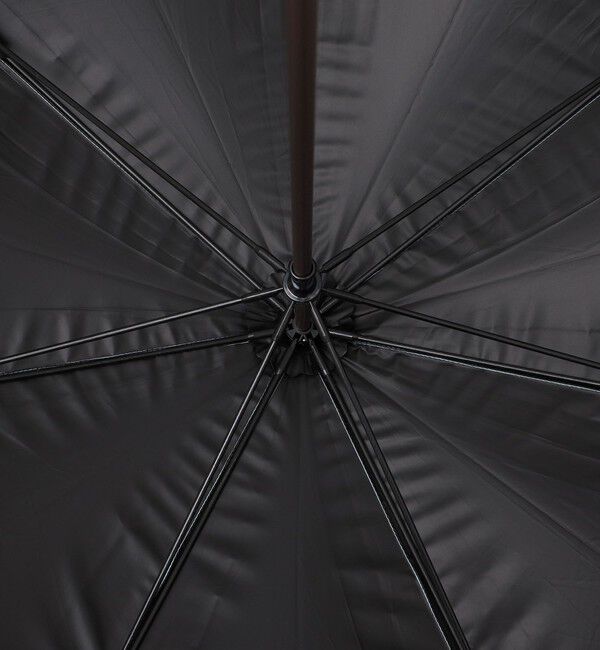 SHIPS Colors 「a.s.s.a:ストライプ 傘 (晴雨兼用・親骨55cm)◇」|傘|