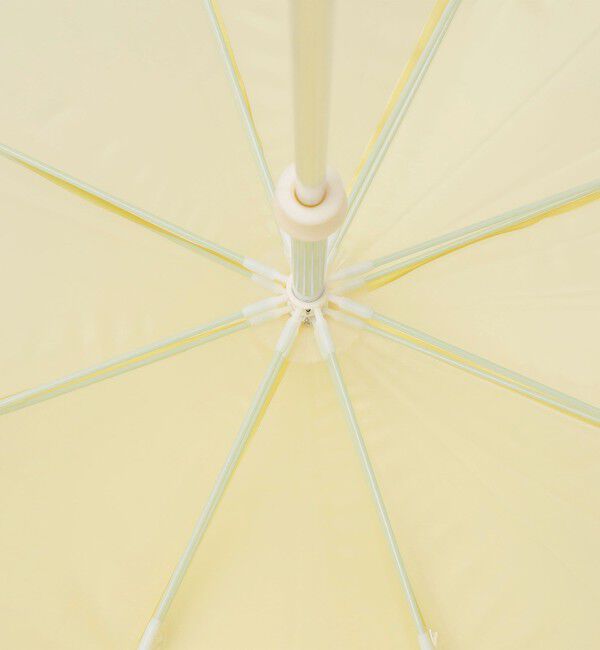 SHIPS Colors 「《予約》assa:グラデーション ジェリー 傘 (親骨60cm)◆」|傘|