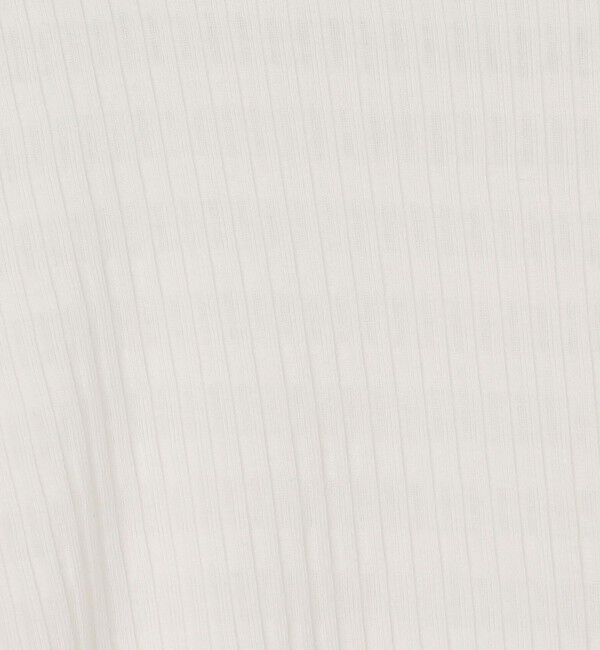 GALERIE VIE「シアーボーダー ボートネックプルオーバー」|Tシャツ・カットソー|