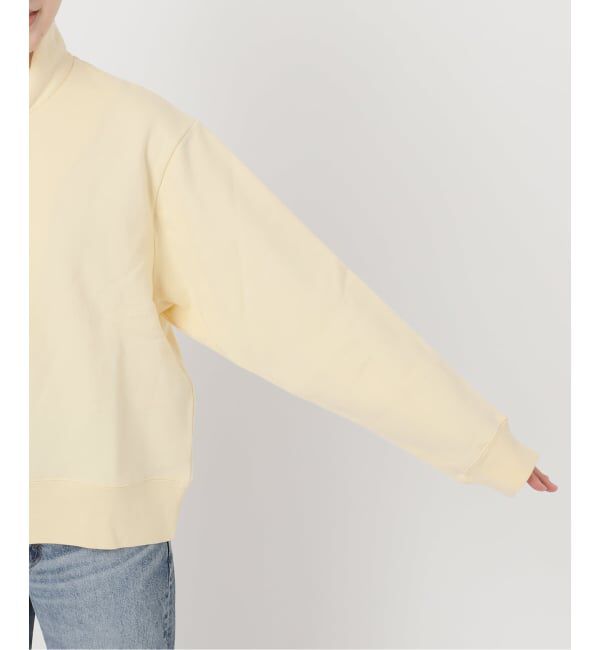 Spick and Span「ブラッシュドテリーハーフジッププルオーバー」|Tシャツ・カットソー|