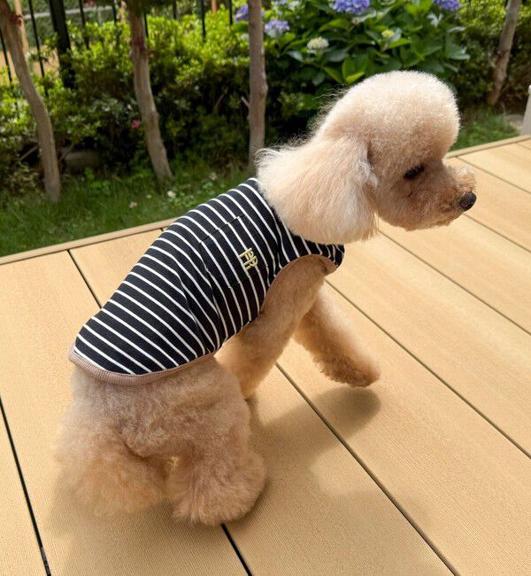 fredy emue「【FR PETS】FR刺繍ボーダーノースリーブTee」|Tシャツ・カットソー|