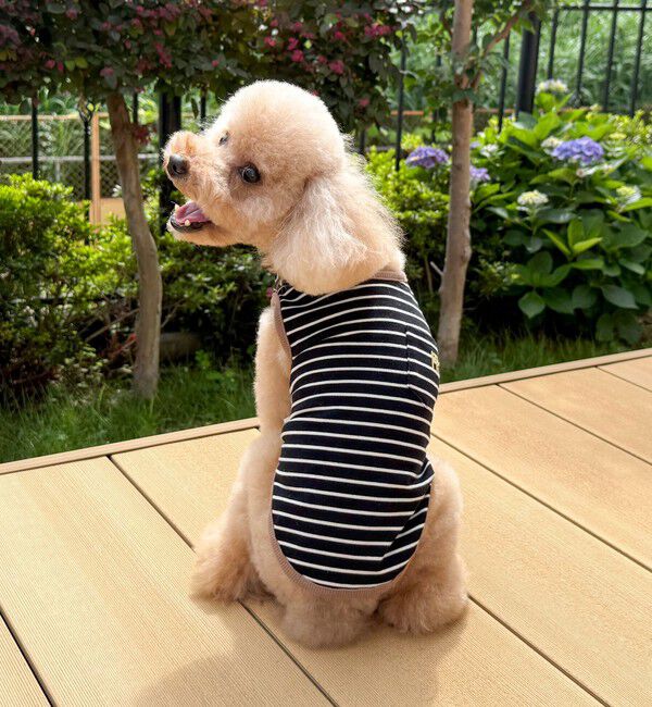 fredy emue「【FR PETS】FR刺繍ボーダーノースリーブTee」|Tシャツ・カットソー|