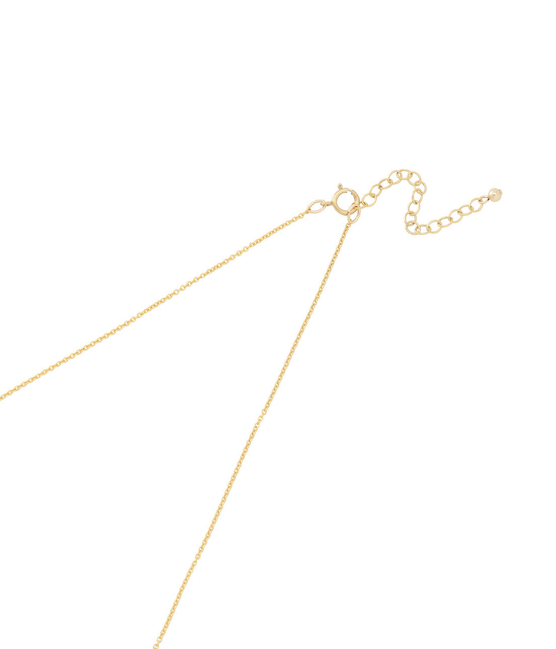 SALON adam et rope'「【SALONオリジナルBOX付き】14KGFあずきチェーンネックレス」|ネックレス|