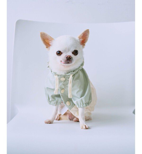 ROPE PICNIC PASSAGE「【DOG】【撥水加工】バイカラーマウンテンパーカー」|その他|ライトグリーン