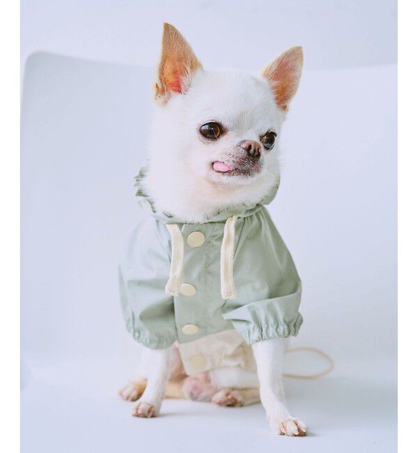 ROPE PICNIC PASSAGE「【DOG】【撥水加工】バイカラーマウンテンパーカー」|その他|