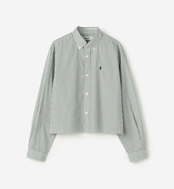 GYMPHLEX「Gymphlex | コットン ショートボタンダウンシャツ STRIPE WOMEN」|シャツ・ブラウス|