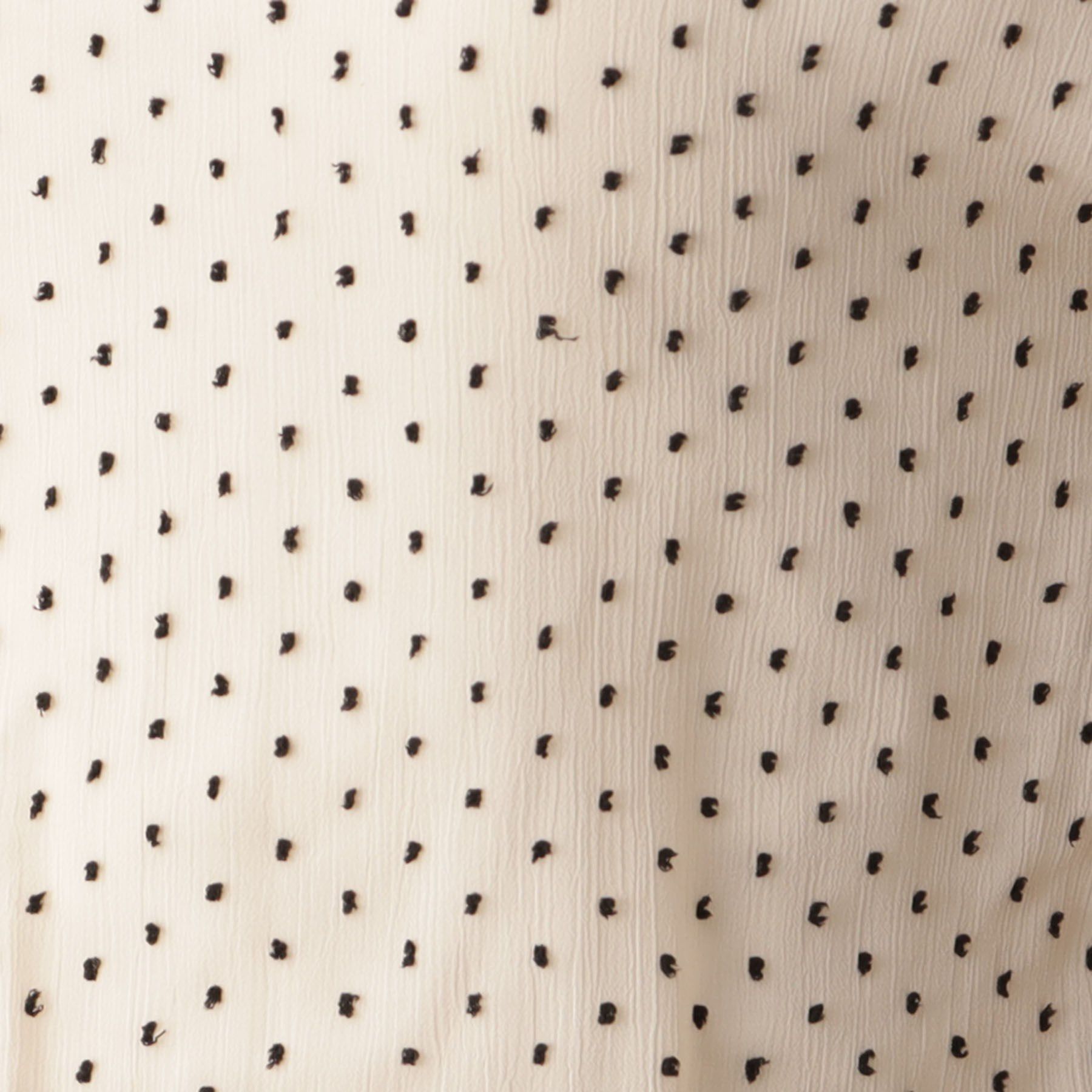 DRESSTERIOR「【シアーシャツ/清涼感】ドットジャカードプルオーバーブラウス」|シャツ・ブラウス|