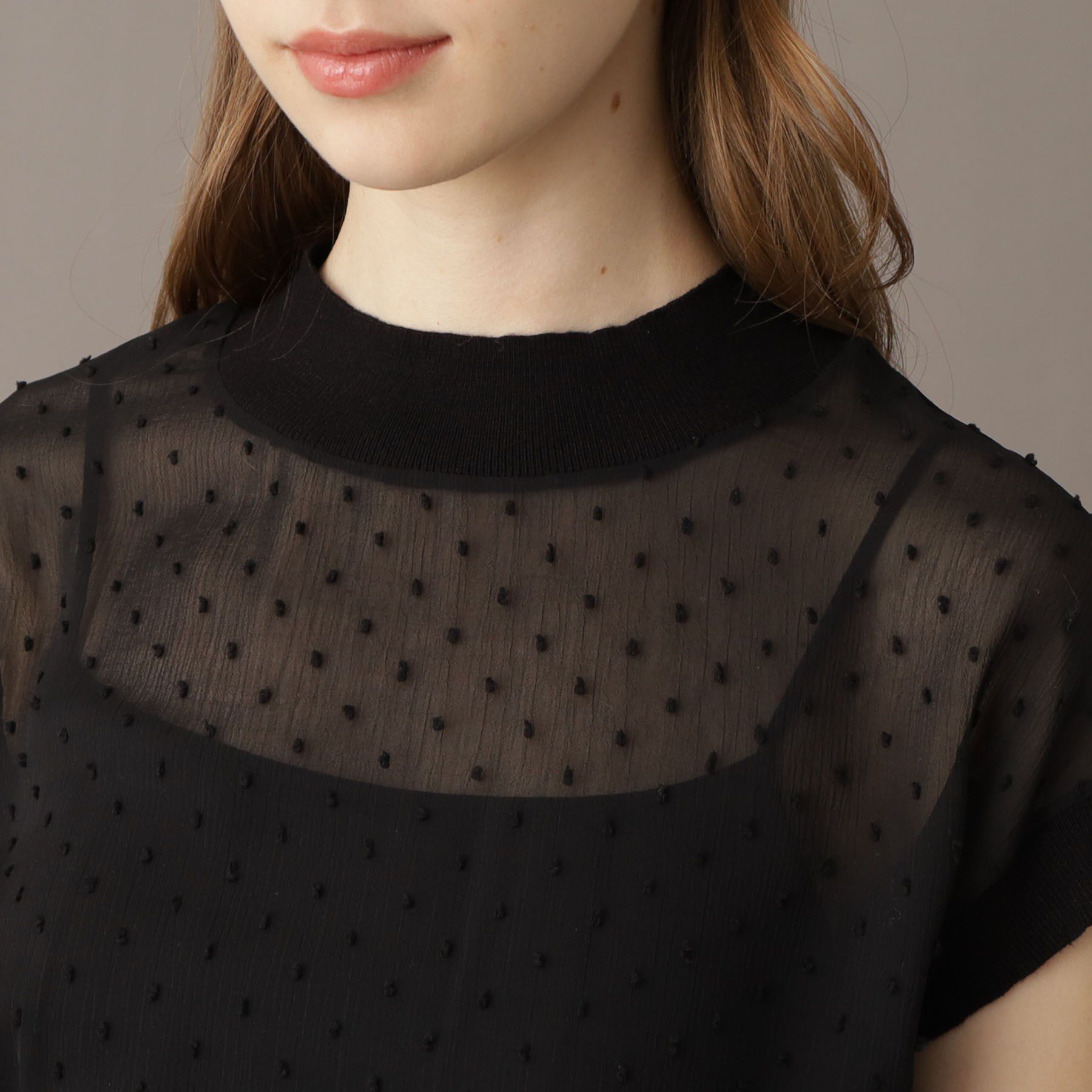 DRESSTERIOR「【シアーシャツ/清涼感】ドットジャカードプルオーバーブラウス」|シャツ・ブラウス|