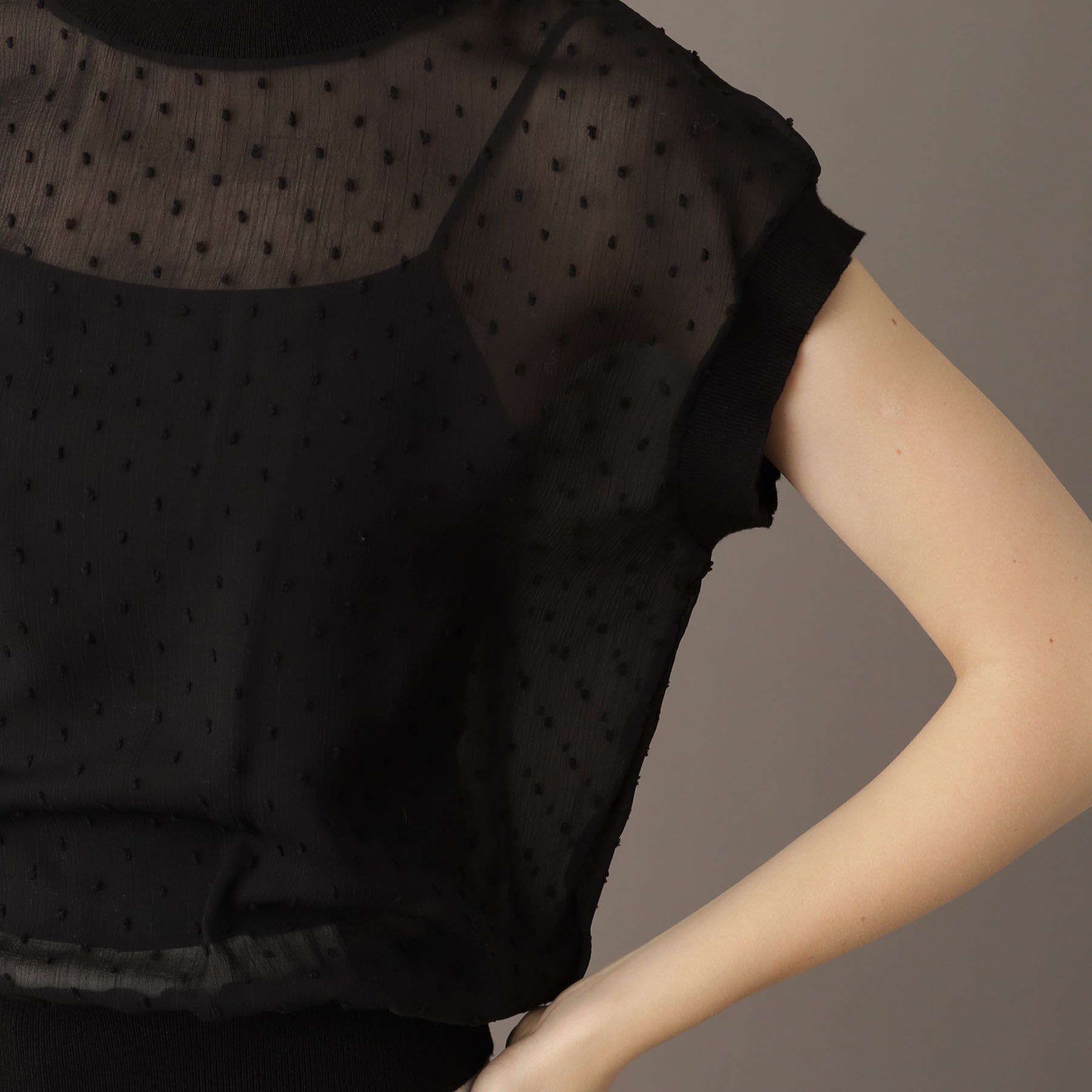 DRESSTERIOR「【シアーシャツ/清涼感】ドットジャカードプルオーバーブラウス」|シャツ・ブラウス|