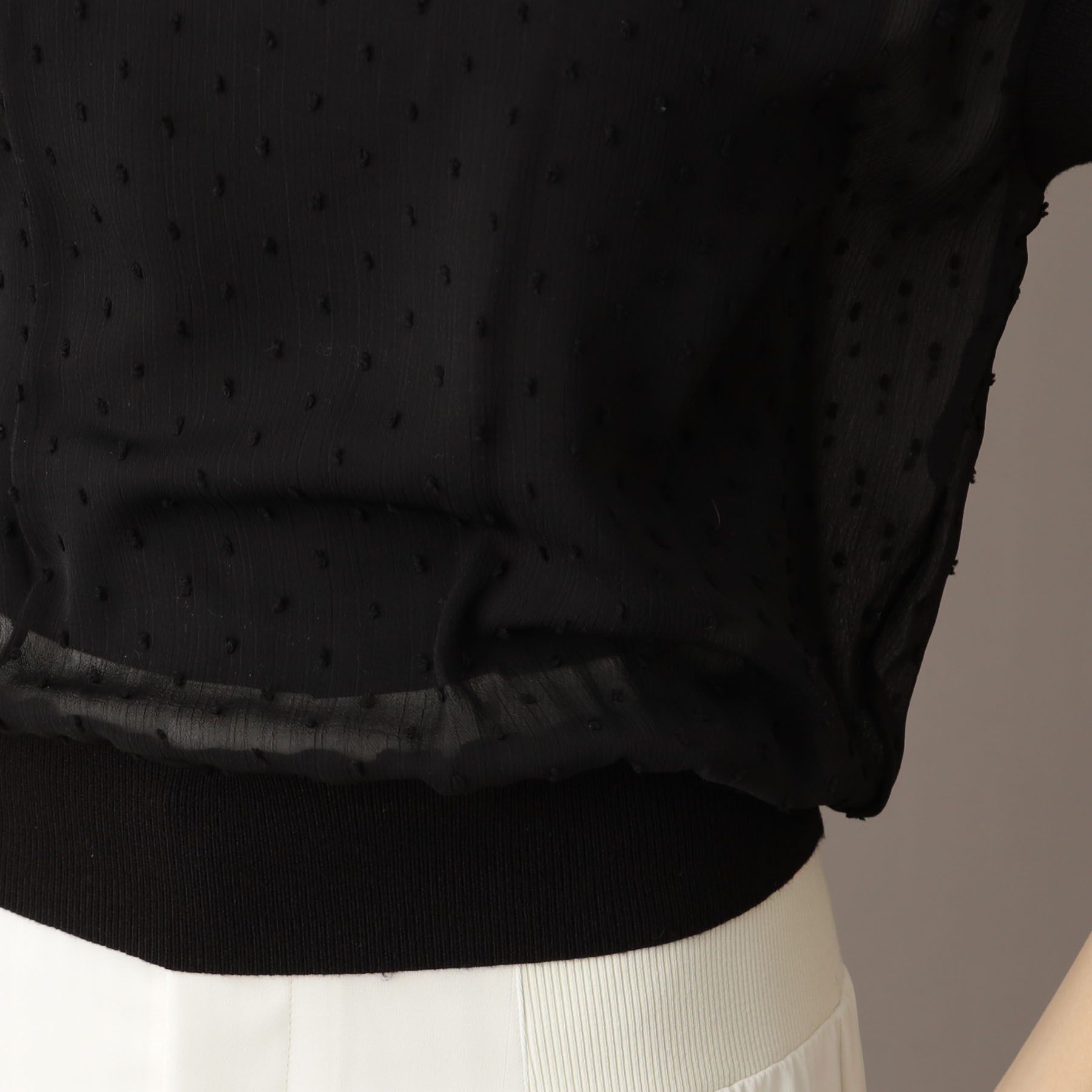 DRESSTERIOR「【シアーシャツ/清涼感】ドットジャカードプルオーバーブラウス」|シャツ・ブラウス|