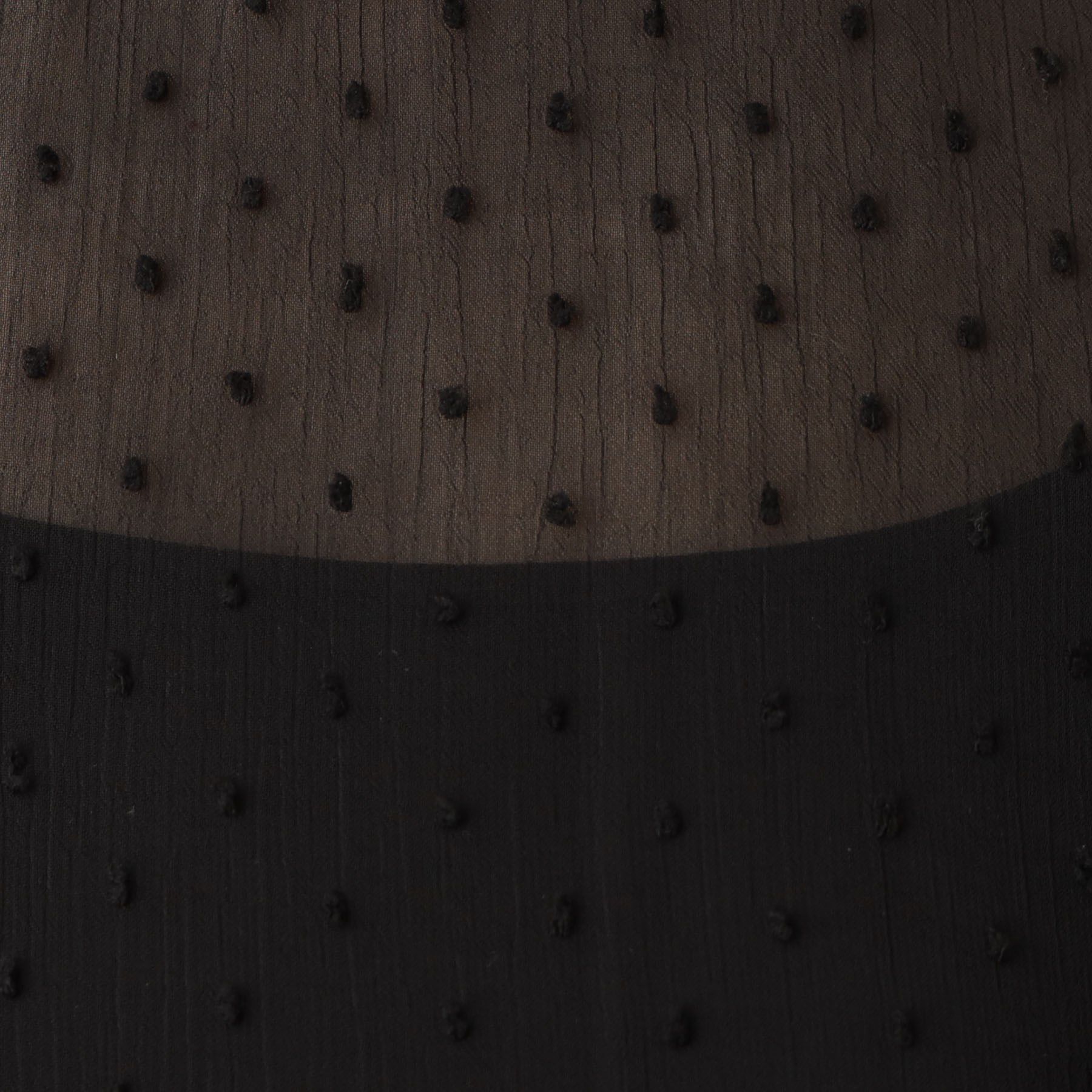 DRESSTERIOR「【シアーシャツ/清涼感】ドットジャカードプルオーバーブラウス」|シャツ・ブラウス|