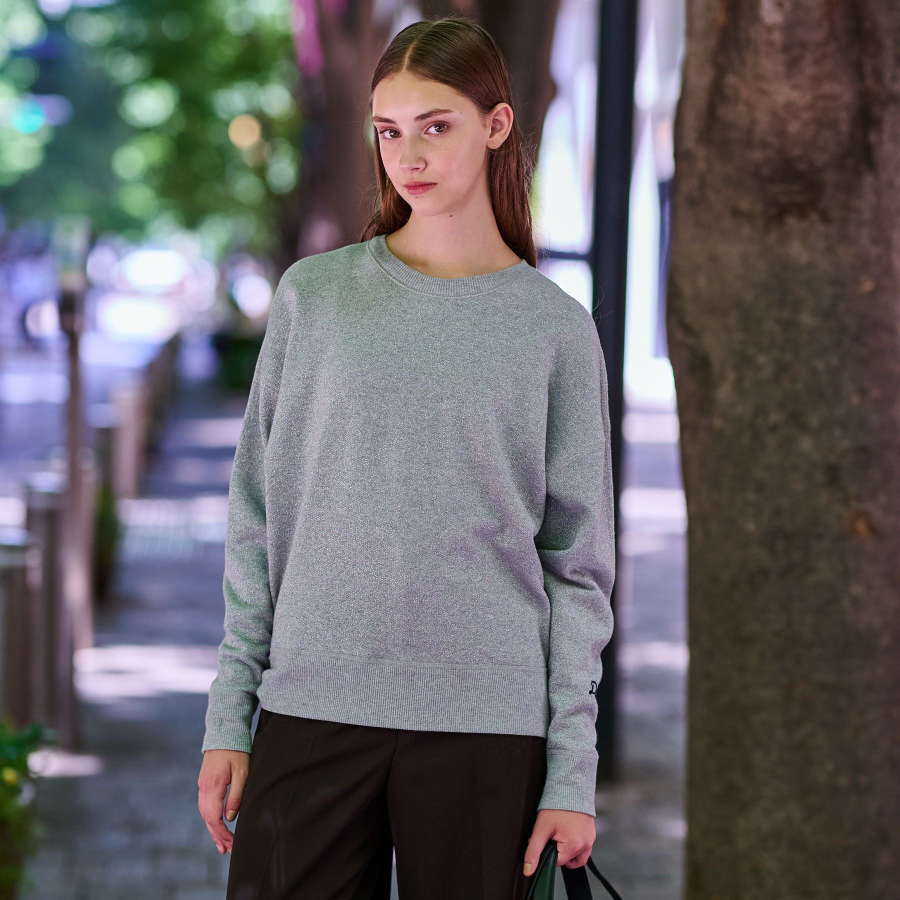 DRESSTERIOR「ラメ裏毛プルオーバー」|Tシャツ・カットソー|