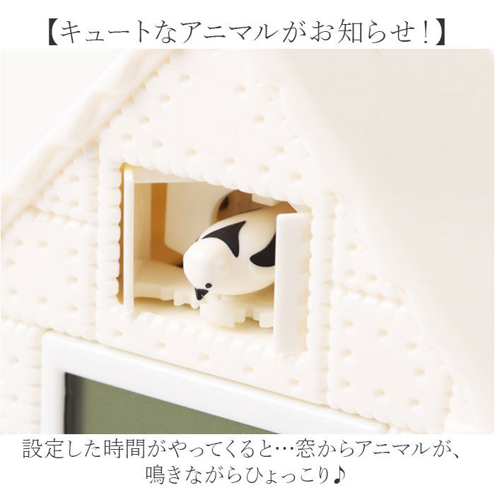 BACKYARD FAMILY「キッチンタイマー かわいい 通販 キッチン タイマー クッキングタイマー デジタルタイマー」|その他|