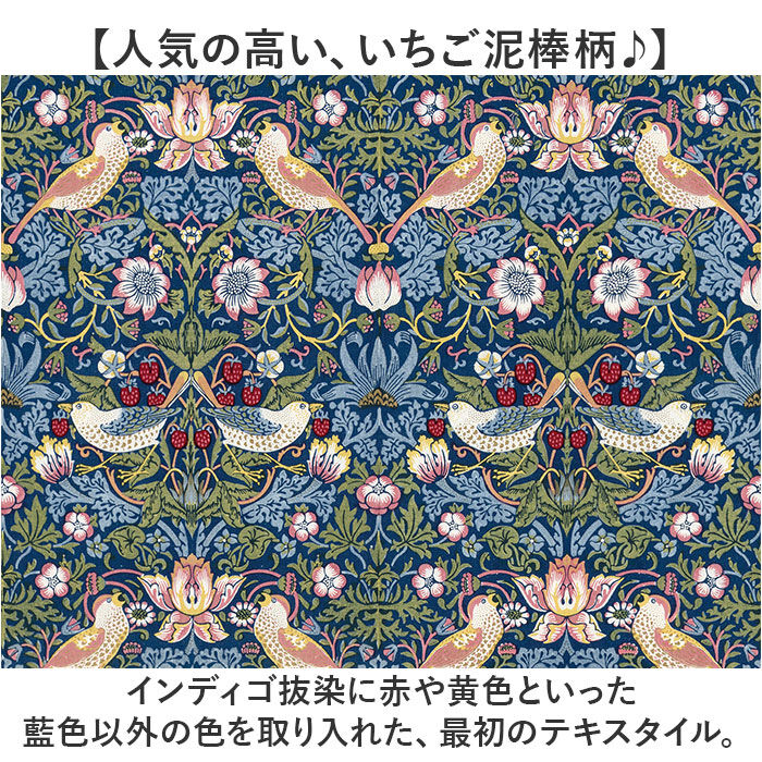 BACKYARD FAMILY「軽量 折りたたみ 杖 おしゃれ 通販 sgマーク 自立式 4点杖 四点杖 折りたたみ杖 ステッキ」|その他|