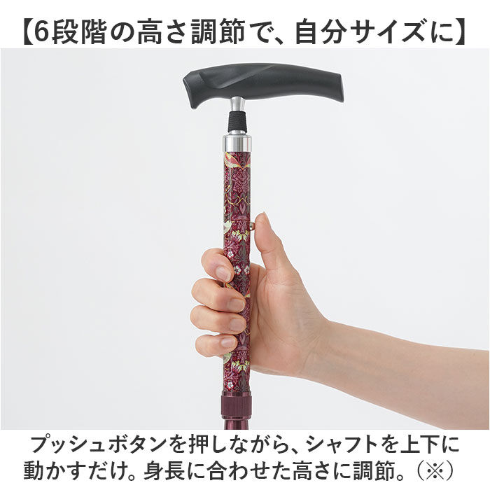 BACKYARD FAMILY「軽量 折りたたみ 杖 おしゃれ 通販 sgマーク 自立式 4点杖 四点杖 折りたたみ杖 ステッキ」|その他|