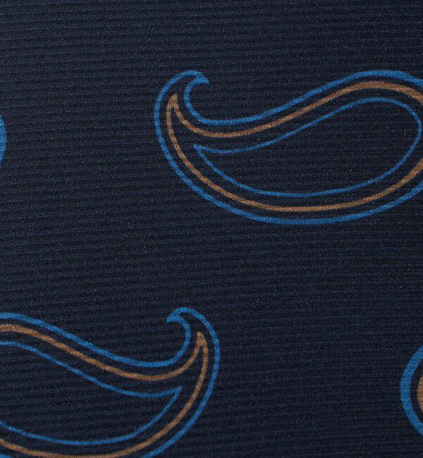 UNITED ARROWS「＜ERRICO FORMICOLA＞ビッグ ペイズリー プリント ネクタイ」|ネクタイ・蝶ネクタイ|