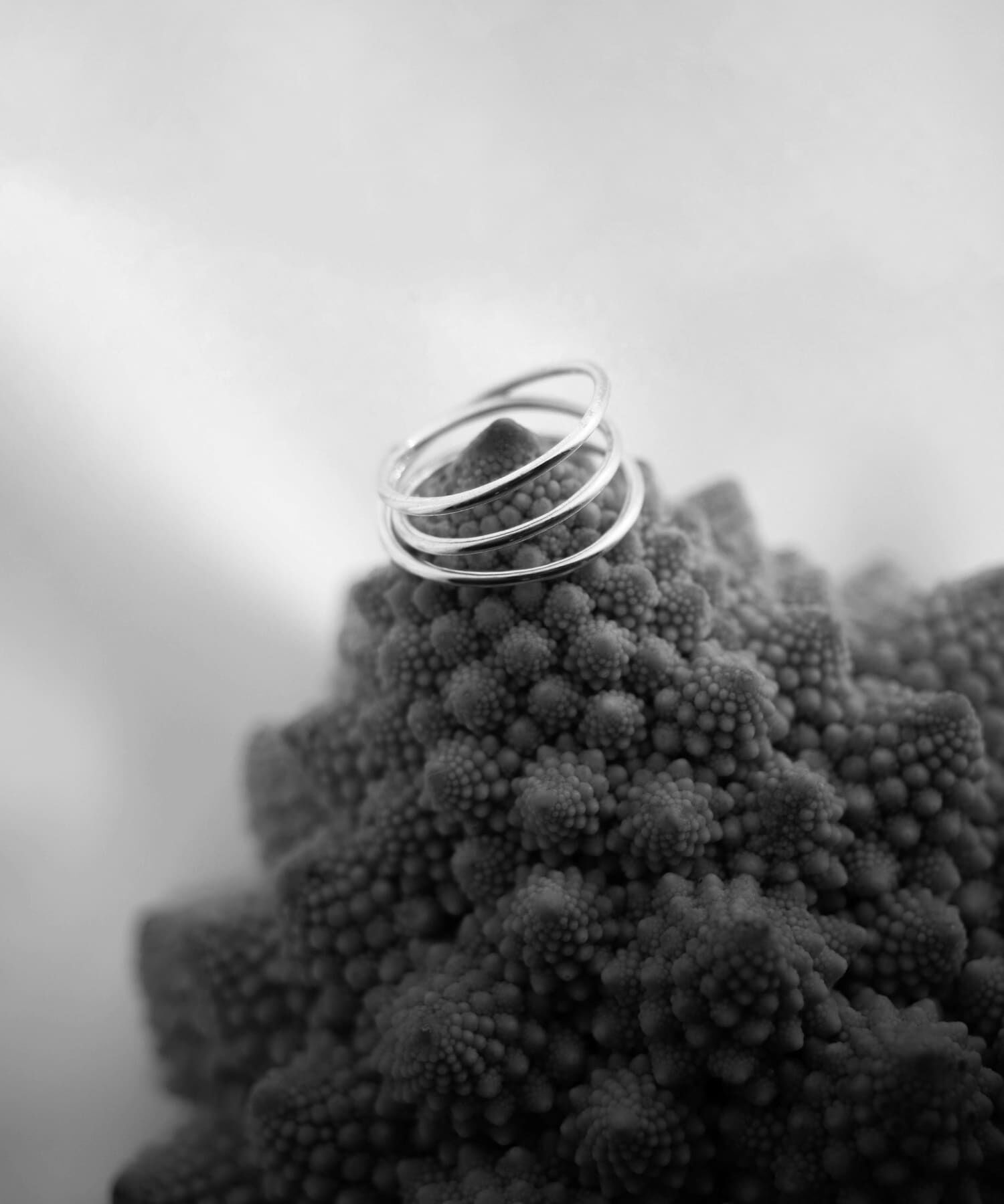 SMELLY「SMELLY so&rsquo;　narrow line ring」|リング|