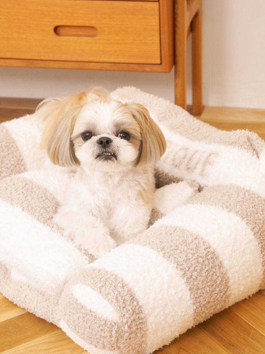  GELATO PIQUE CAT&DOG「【CAT&DOG】ジェラートソファ型ベッドL」|その他|BEG