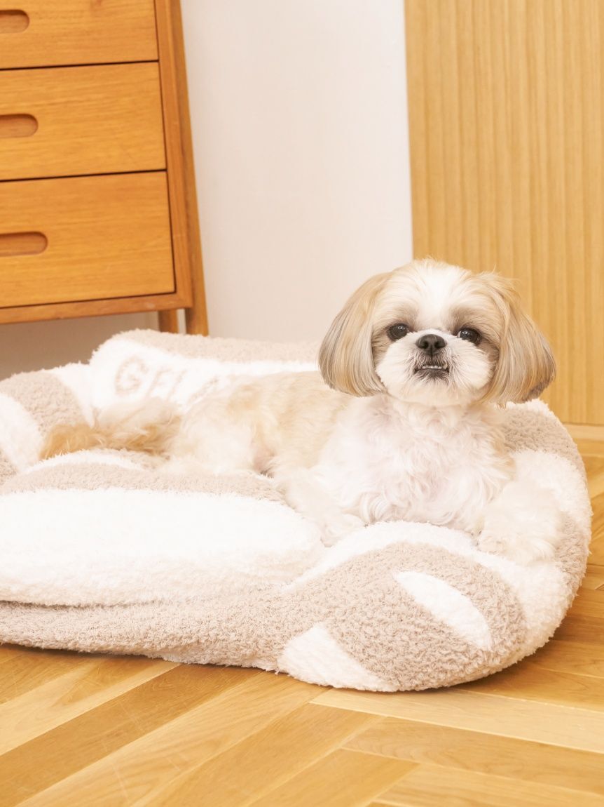  GELATO PIQUE CAT&DOG「【CAT&DOG】ジェラートソファ型ベッドL」|その他|