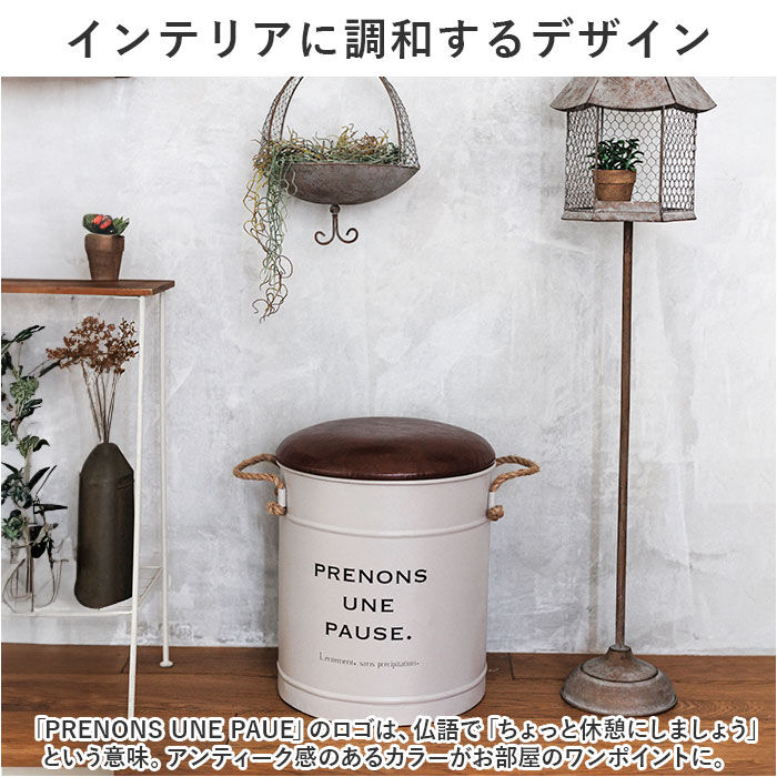 BACKYARD FAMILY「収納ボックス フタ付き イス 通販 収納 できる スツール 椅子 いす アビデ ポーズ」|その他|